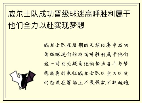 威尔士队成功晋级球迷高呼胜利属于他们全力以赴实现梦想